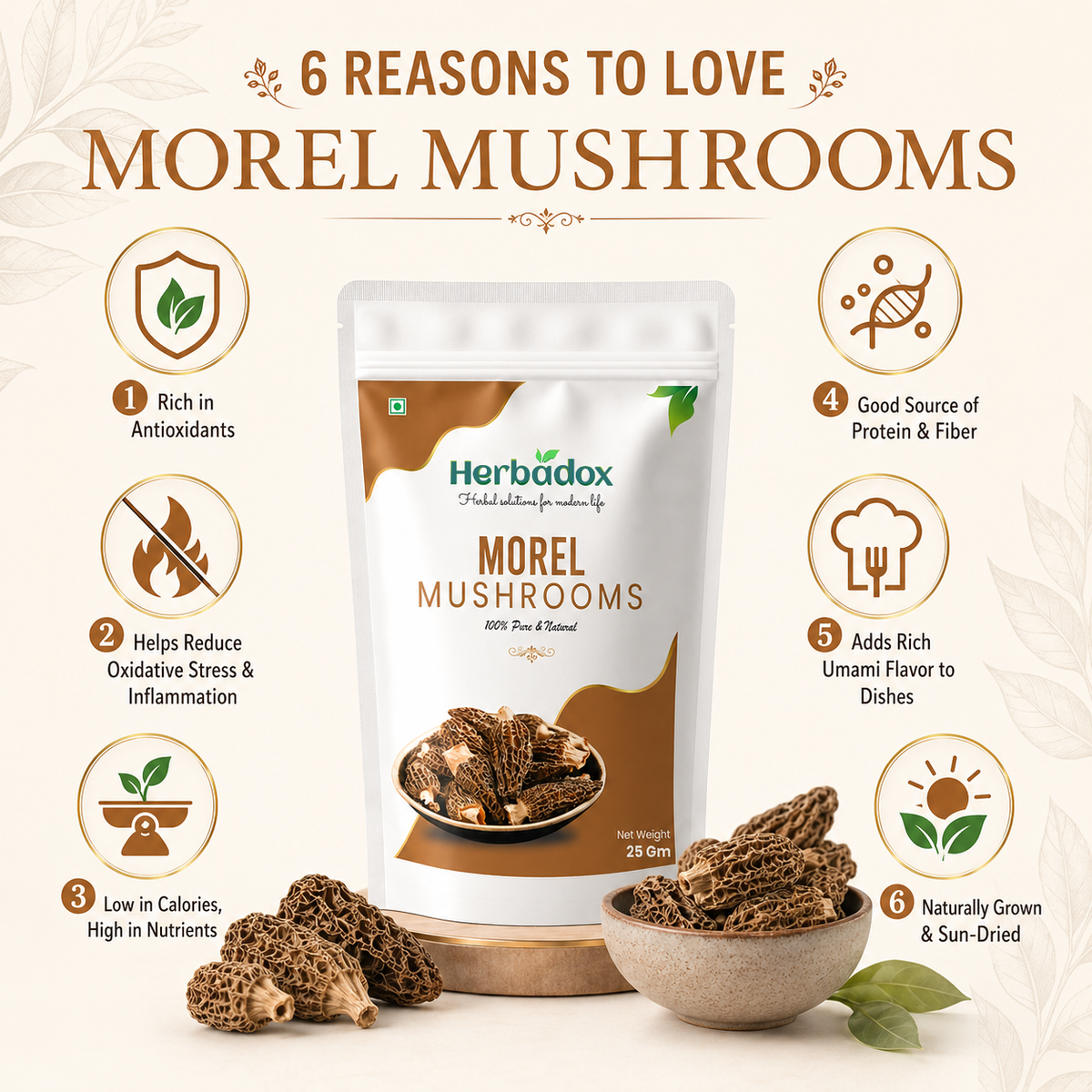 Morel Mushroom